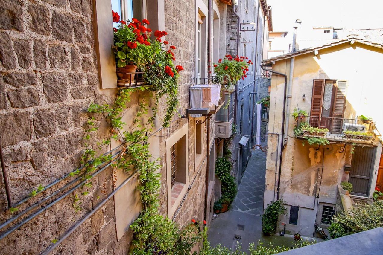 Ferienwohnung La Rosa Scarlatta Viterbo Exterior foto