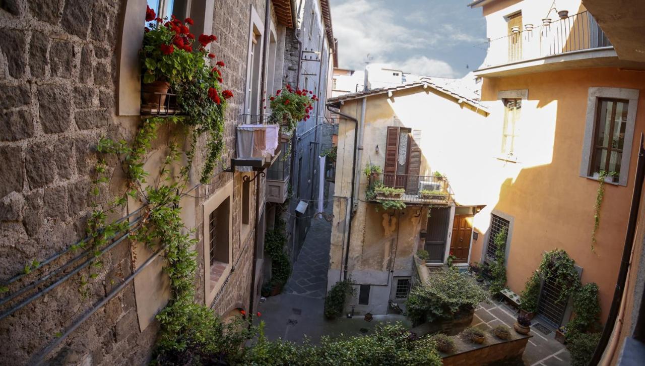 Ferienwohnung La Rosa Scarlatta Viterbo Exterior foto